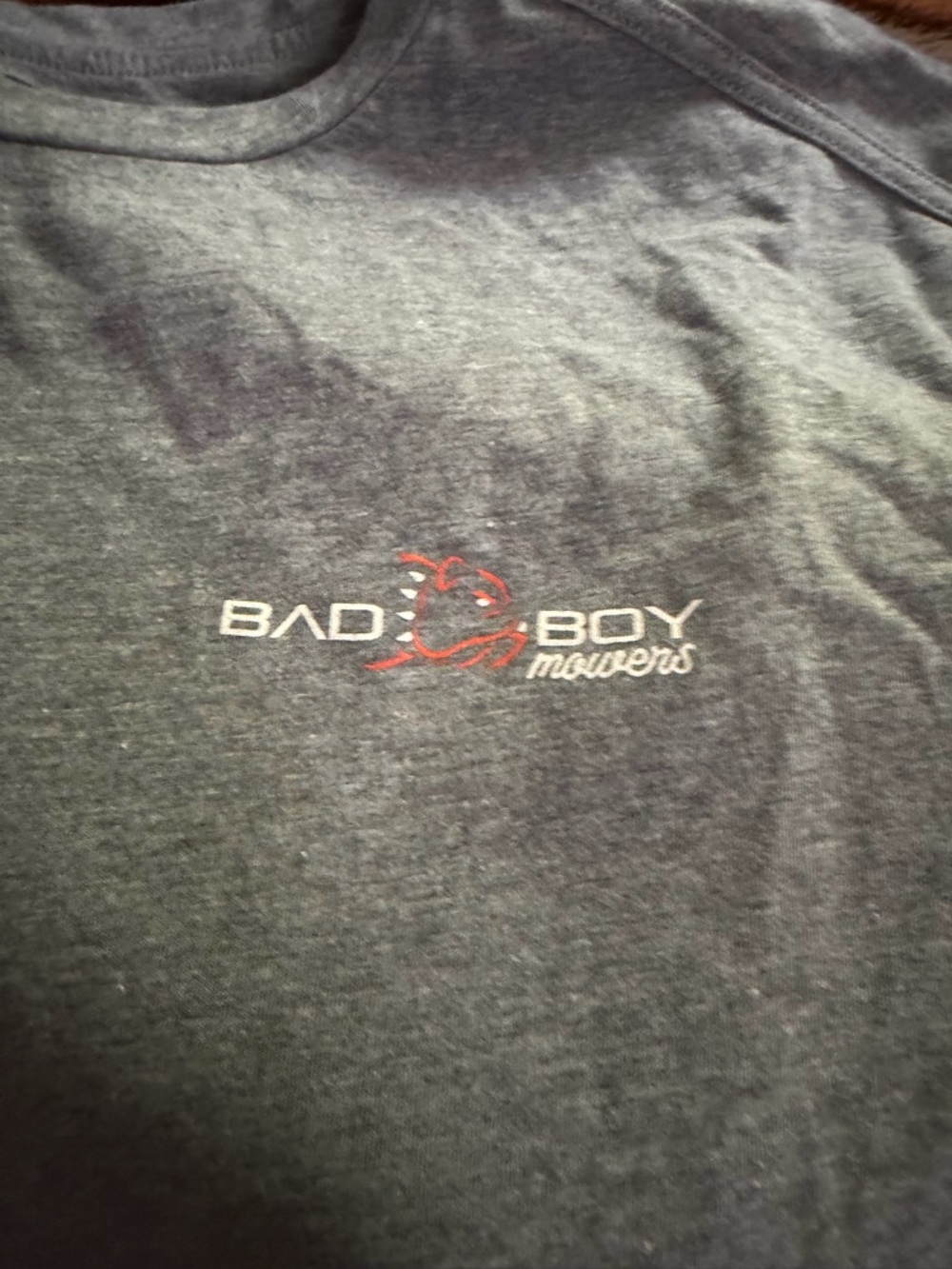 Men's Badboy Gray Logo T-Shirt